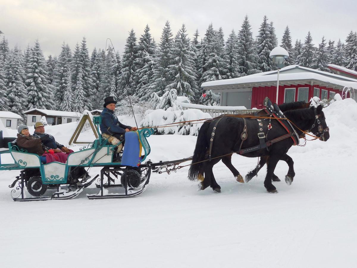 Waldhotel Rennsteighöhe Aparthotel 3*