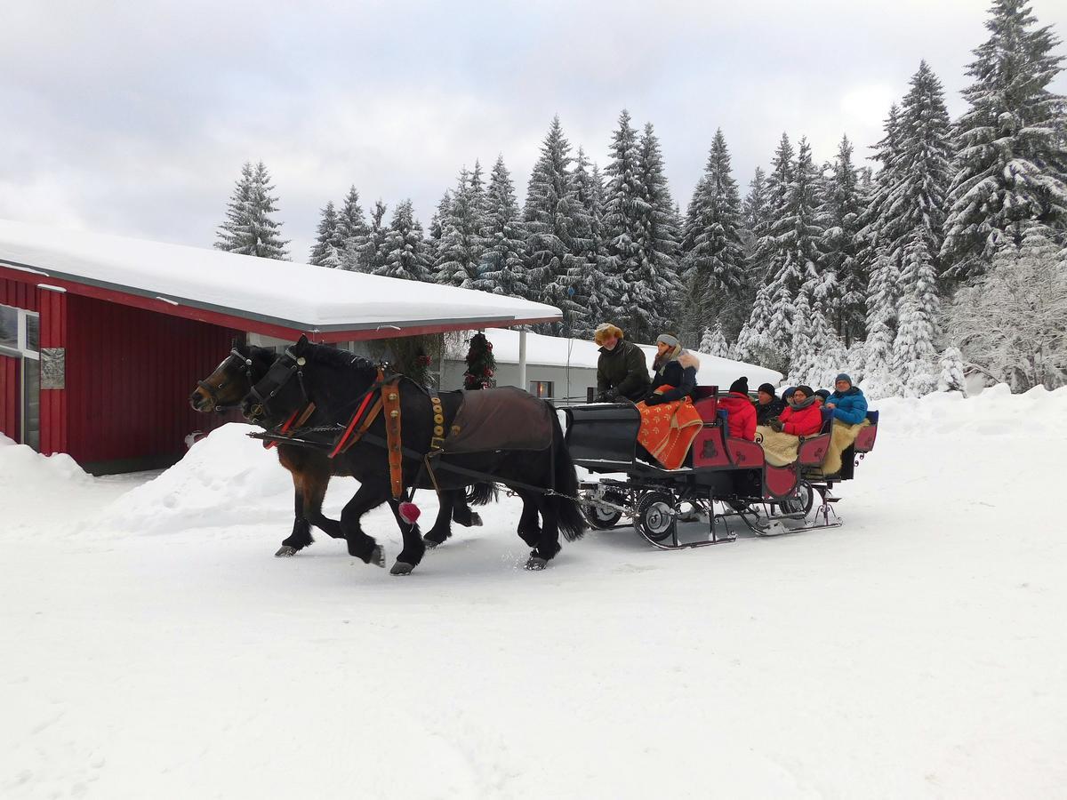 Aparthotel Waldhotel Rennsteighöhe Frauenwald