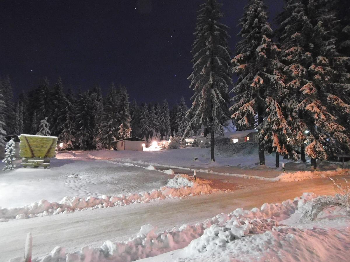 Waldhotel Rennsteighöhe